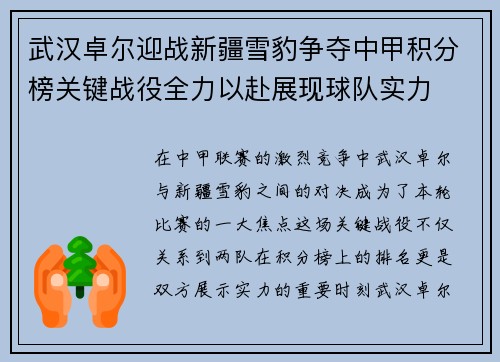 武汉卓尔迎战新疆雪豹争夺中甲积分榜关键战役全力以赴展现球队实力